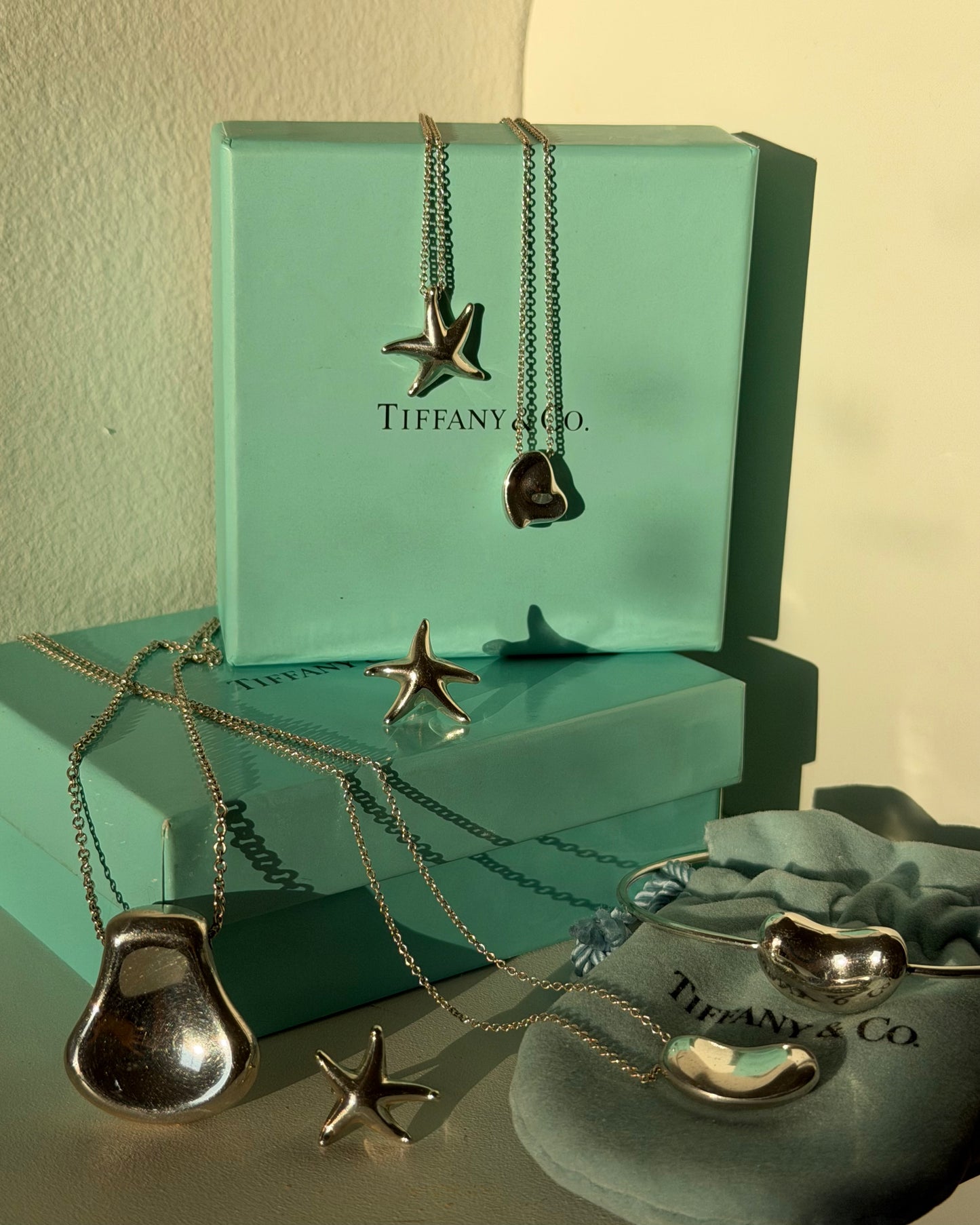 Vintage Sterling Silver Tiffany & Co Elsa Peretti Starfish Pendant Necklace