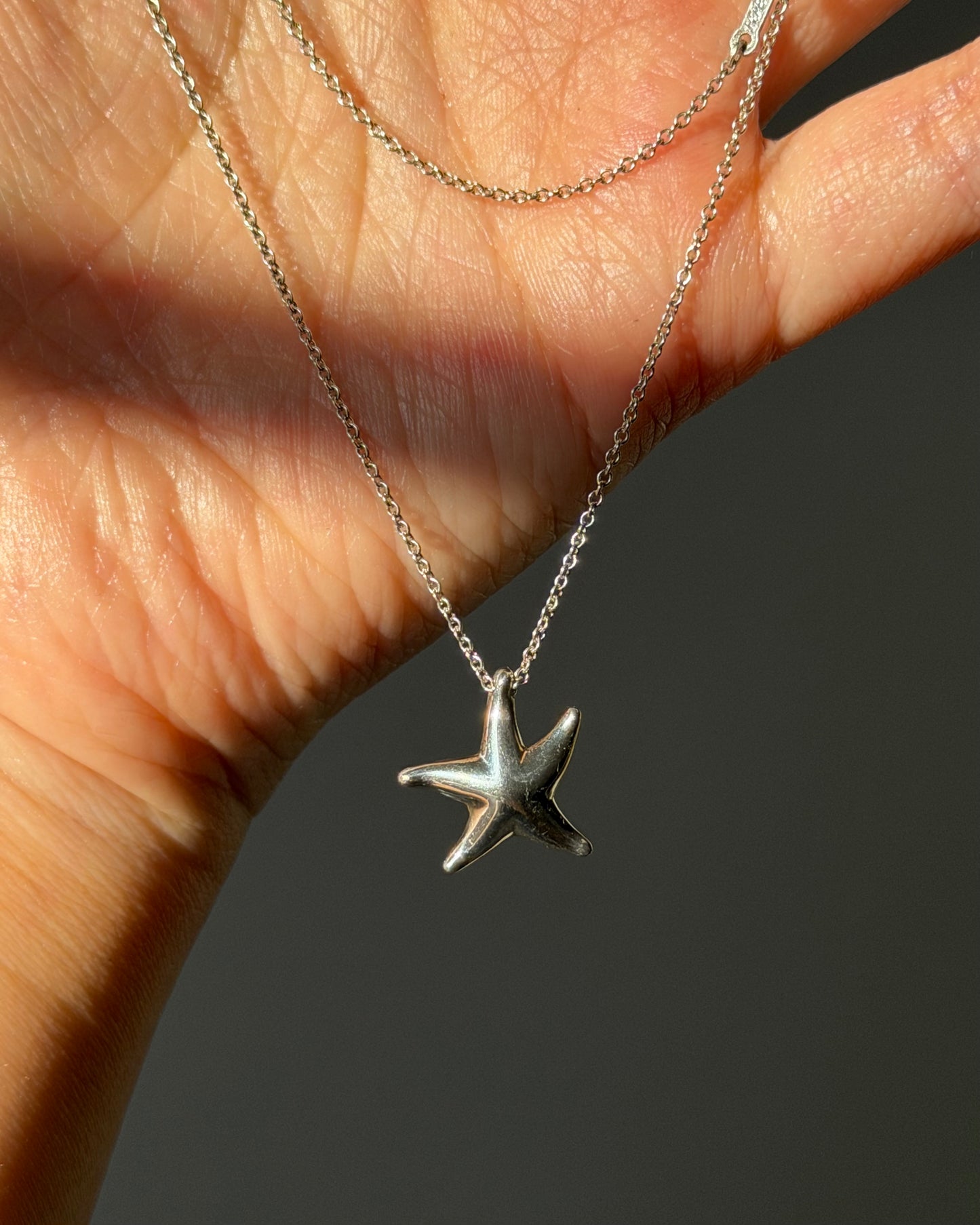 Vintage Sterling Silver Tiffany & Co Elsa Peretti Starfish Pendant Necklace