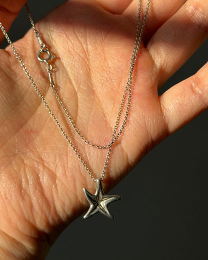Vintage Sterling Silver Tiffany & Co Elsa Peretti Starfish Pendant Necklace