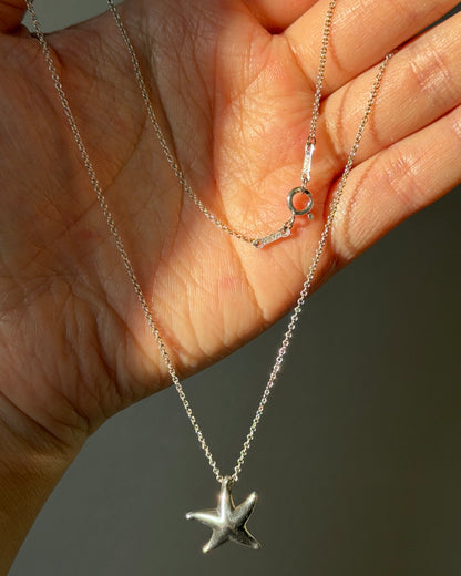 Vintage Sterling Silver Tiffany & Co Elsa Peretti Starfish Pendant Necklace