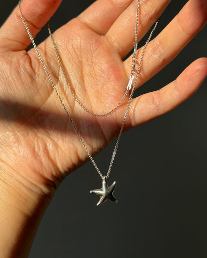 Vintage Sterling Silver Tiffany & Co Elsa Peretti Starfish Pendant Necklace