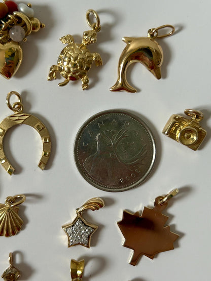 10k Yellow Gold Turtle Charm
